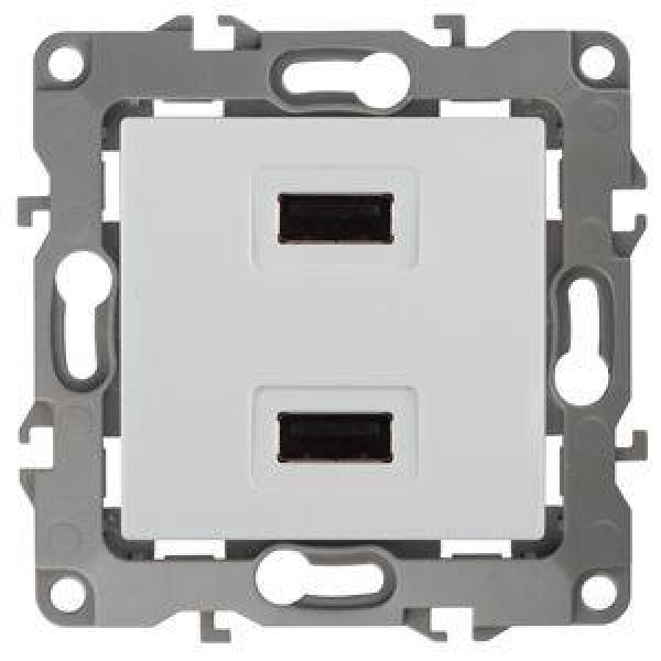 ЭРА 12 Розетка/мех-м 2xUSB (вн) IP20 (Белый) 12-4110-01