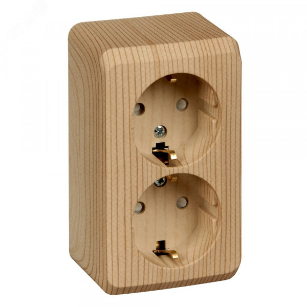 ЭТЮД Розетка (нр) (2-х местная) С/З (СОСНА) 16А Sch/Electric (РА16-008D)